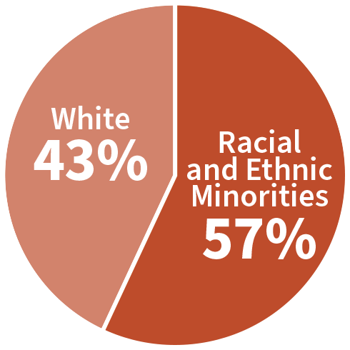 Race & Ethnicity - 57 Racial & Ethnic Minorities, 43% White