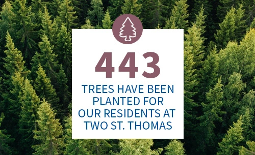 443 trees planted at 2 St. Thomas